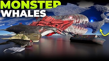 Void Whale vs Space Blue Whale vs Hammer Head Whale | Monster Whales Size Comparison 3D