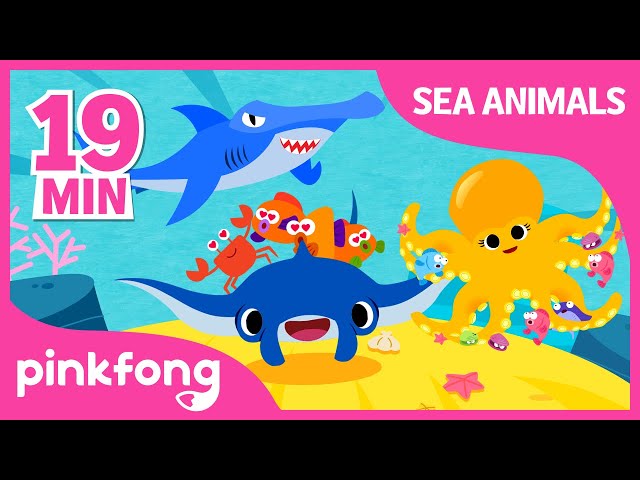 Super Duper Manta Ray and more | Sea Animal Songs | +Compilation | Pinkfong Songs for Children class=