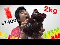 【大食い】２kgの世界一大きいグミベアを食べたら頭おかしくなった！！