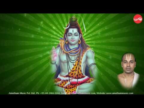 Chamakam Veda Gosham Sri Rudram Malola Kannan Full Verson