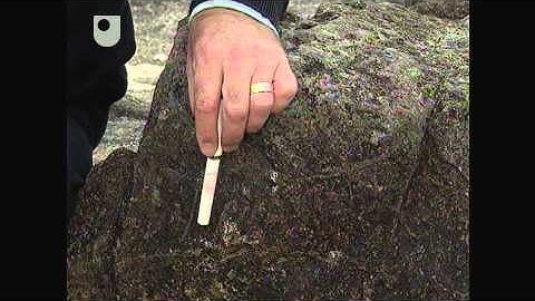 Sedimentary Rocks - Rocks in the Field (7/9)