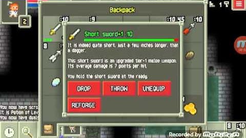 Gameplay of skillful pixel dungeon