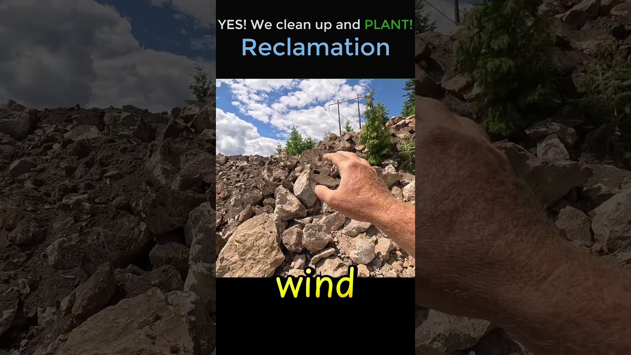 Yes we clean up and plant after mining.