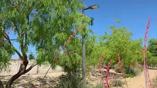 Kiel Ranch Historic Park Walk Part 1 April 3, 2026