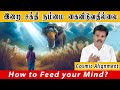     how to feed your mind