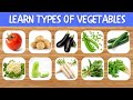 Vegetable Names | Types of Vegetables | Root Vegetable, Leafy Vegetables, Gourds, Melon | Aster Buds