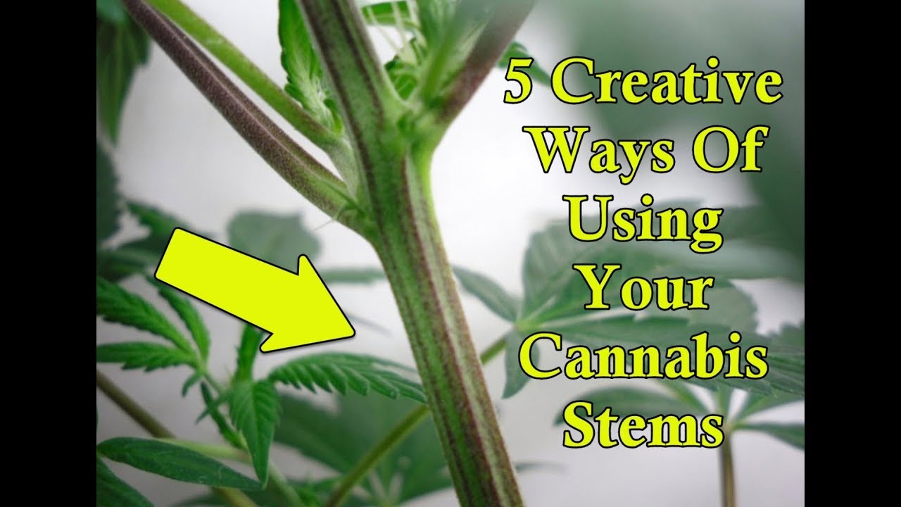 5 Creative Ways Of Using Your Cannabis Stems