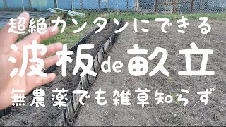 百姓農園さんコラボ⑨水糸と波板で畝立て！雑草に悩まない自然栽培の家庭菜園づくり＜後編＞