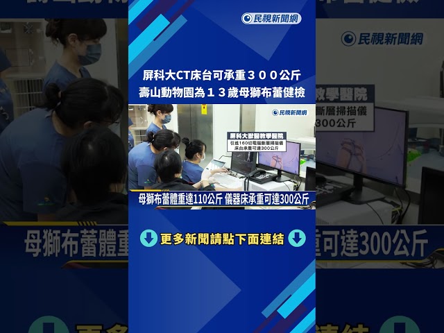 屏科大CT床台可承重300公斤 壽山動物園母獅布蕾健檢－民視新聞