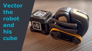 Vector the robot and his cube