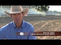 The ride with cord mccoy the popular australian equine sport of campdrafting