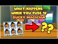 What happens when you fuse 12 Rainbow DUCKY MAGICIAN ( Pet Simulator X )