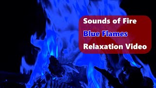 Sapphire Embers | 1 Hour of Tranquil Deep Blue Flames for Inner Reflection