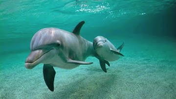 Unity Temple 5/10/2020