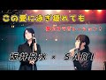 【この愛に泳ぎ疲れても】坂井泉水さんとSARIさんが夢のコラボ!