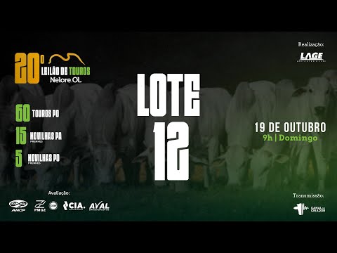 LOTE 12 A6175 PO - 20º Leilão de Touros Nelore OL