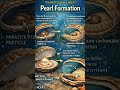 #shorts A Teaser of today's lecture on mollusca