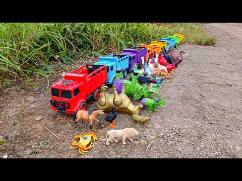 Wow‼️ Angkut Sapi Lucu Warna Warni Gajah Kuda Unta Mammoth Singa Bebek Kepiting dengan Truk Oleng