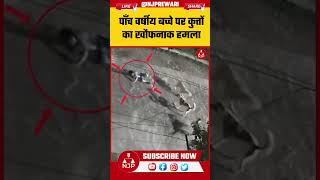 REWARI NEWS : पाँच वर्षीय बच्चे पर कुत्तों का खौफनाक हमला #rewarinews #dogattack #viral #trending