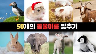 [동물퀴즈] 사진 보고 동물 이름 맞추기 ! | #3 | 3초퀴즈 | 이름퀴즈 | 두뇌퀴즈