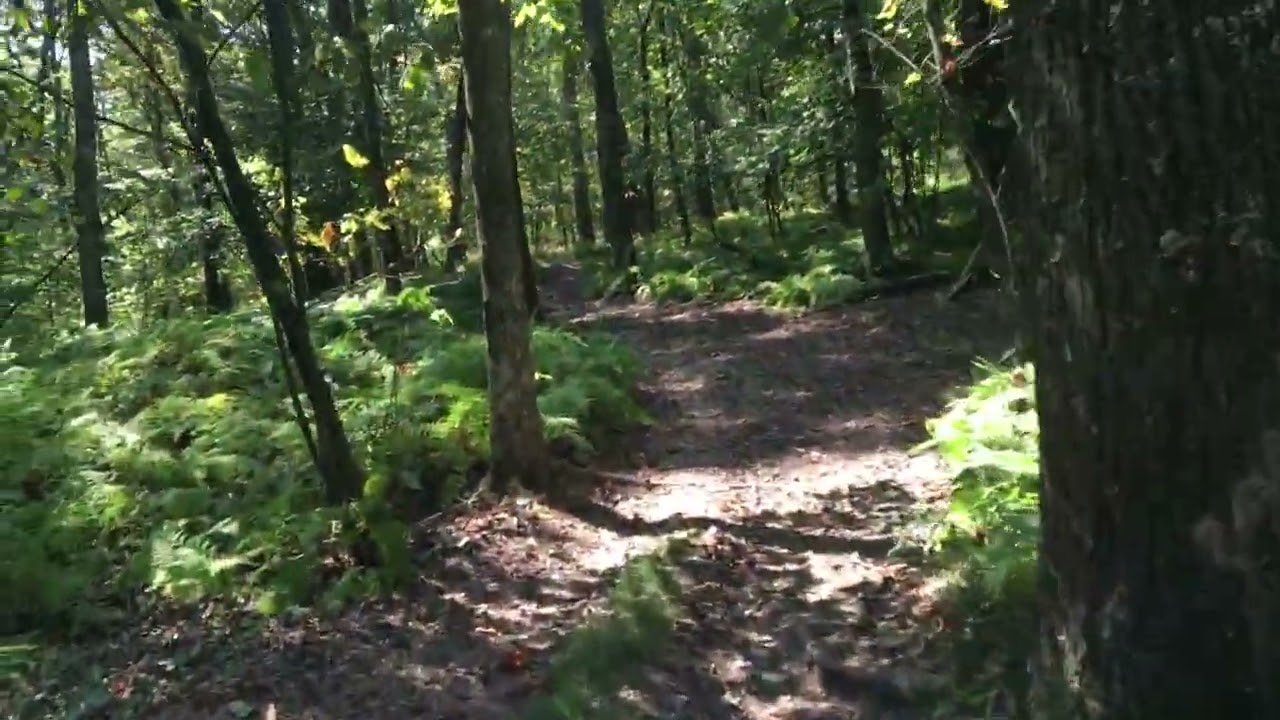  RZR riding Haneyville ATV Trail