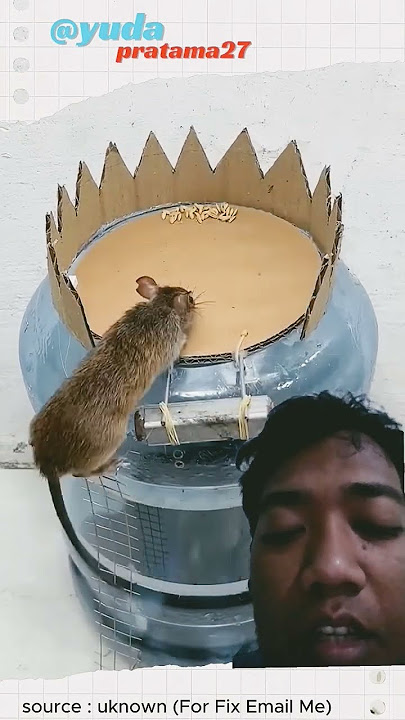 jebakan tikus menggunakan galon bekas #perangkaptikus