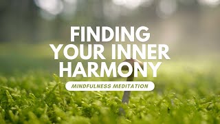 Guided Meditation on Finding Your Inner Harmony - Deep Healing & Inner Harmony by MindfulPeace 15,731 views 4 months ago 14 minutes, 2 seconds