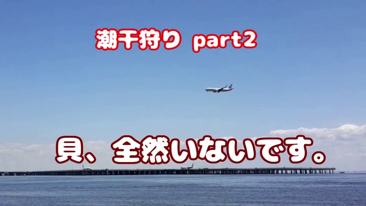【潮干狩り２】多摩川河口の川崎側を掘ってみた。