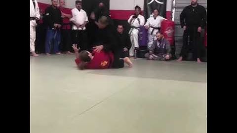 Kung Fu San Soo Demos