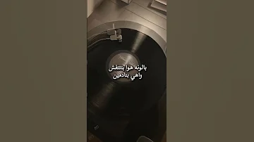 اغنيه دنيا ملبشه اغاني World Art 