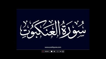 سورة العنكبوت من الاية 24 حتى 38