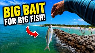 Throwing Big Bait at This Florida Jetty!!