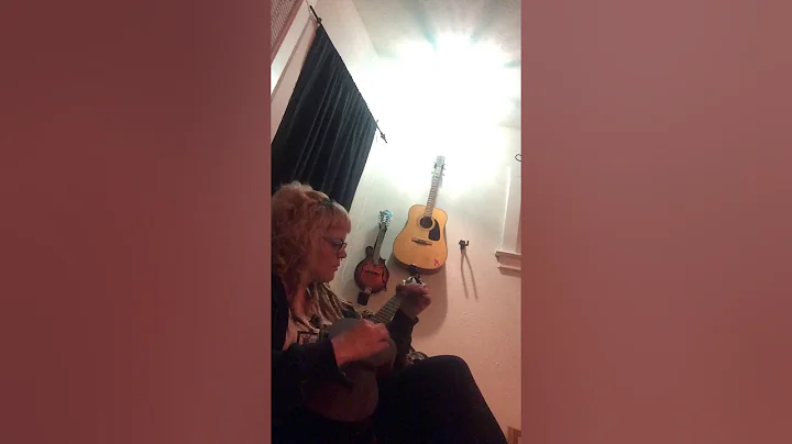 Dreams-Fleetwood Mac ukulele cover by Heather Lamb...