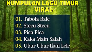 Kumpulan Lagu Timur Viral 2025