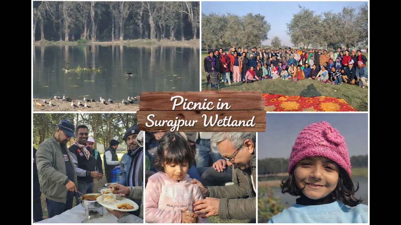 Picnic in Surajpur Wetland /PICNIC IN BIRD PARK / PICNIC IDEAS