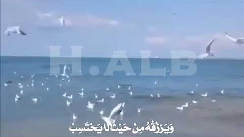 ومن يتق الله يجعل له مخرجا سورة الطلاق ماهر المعيقلي