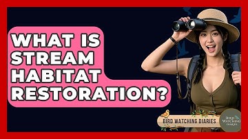 What Is Stream Habitat Restoration? - Bird Watching Diaries