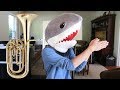 Baby Shark Song | Music Instruments Baby Shark - Nursery Rhyme for Children, Kids and Toddlers