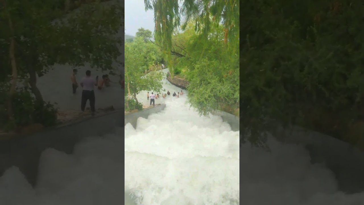 Exploring the Majestic Beauty of Steppe Swabi