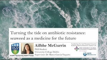 Ailbhe McGurrin | #WHYRESEARCHMATTERS | USI-IRC Video Competition