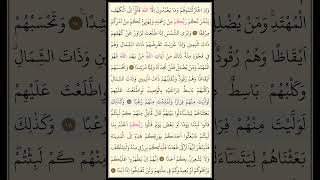 Kuranı Kerim 294. Sayfa