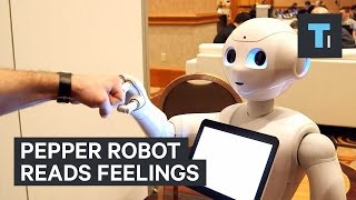 Pepper Robot reads feelings