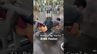 Top 3 Most Underrated Accessory Exercises to Increase Glute/Hamstring Size! Profile