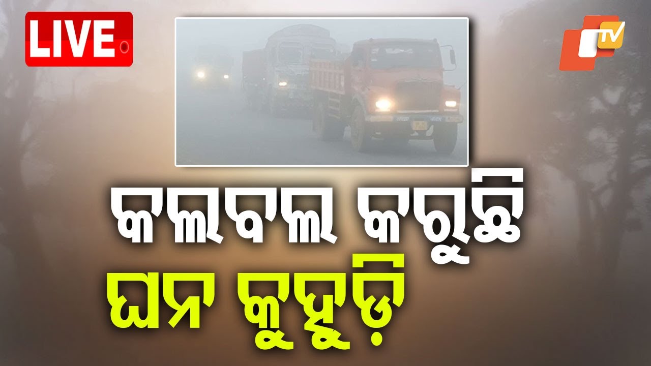 ???? Live | କଲବଲ କରୁଛି ଘନ କୁହୁଡ଼ି | Cold Wave | Fog | Winter | Odia News