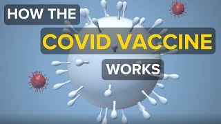 How the COVID-19 vaccine works