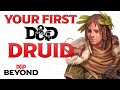 How to Build Your First Druid in Dungeons &amp; Dragons | D&amp;D Beyond