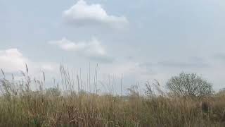 天空、大地、草木、风 Sky, earth, vegetation, wind by 万物有声 14 views 1 month ago 39 minutes