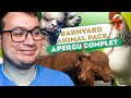 Dcouvrez en exclusivit le contenu du dlc  mise  jour 117  planet zoo barnyard animal pack