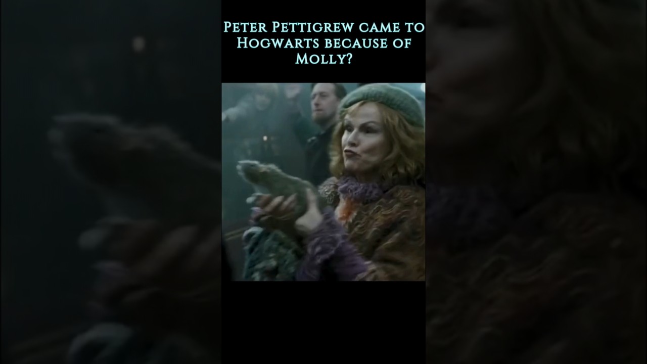 Harry Potter: Peter Pettigrew at Hogwarts 