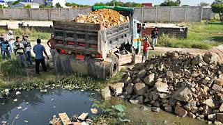 Starting a Amazing PROJECT!! Dump Truck Unloading Stone with Komat'Su D20P Dozer